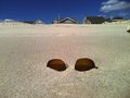 beachGlasses5