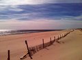 beachFence3