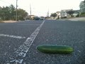 cucumber