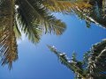 keyWest6