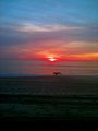 dogOnBeach10-19-13_FINAL